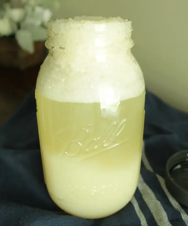 active potato flake starter in quart size mason jar