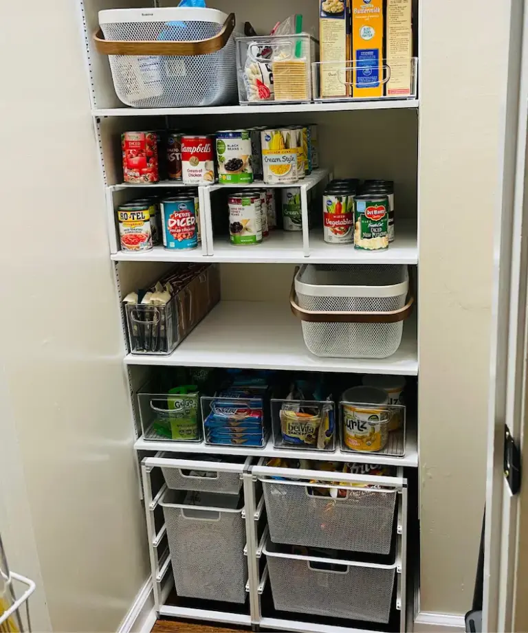 pantry closet with baskets and bins on shelves