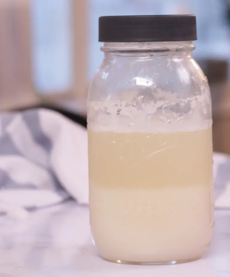 jar of potato flake starter