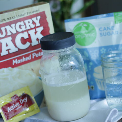 Easy Sourdough Starter Recipe with Potato Flakes Little Tennessee Home