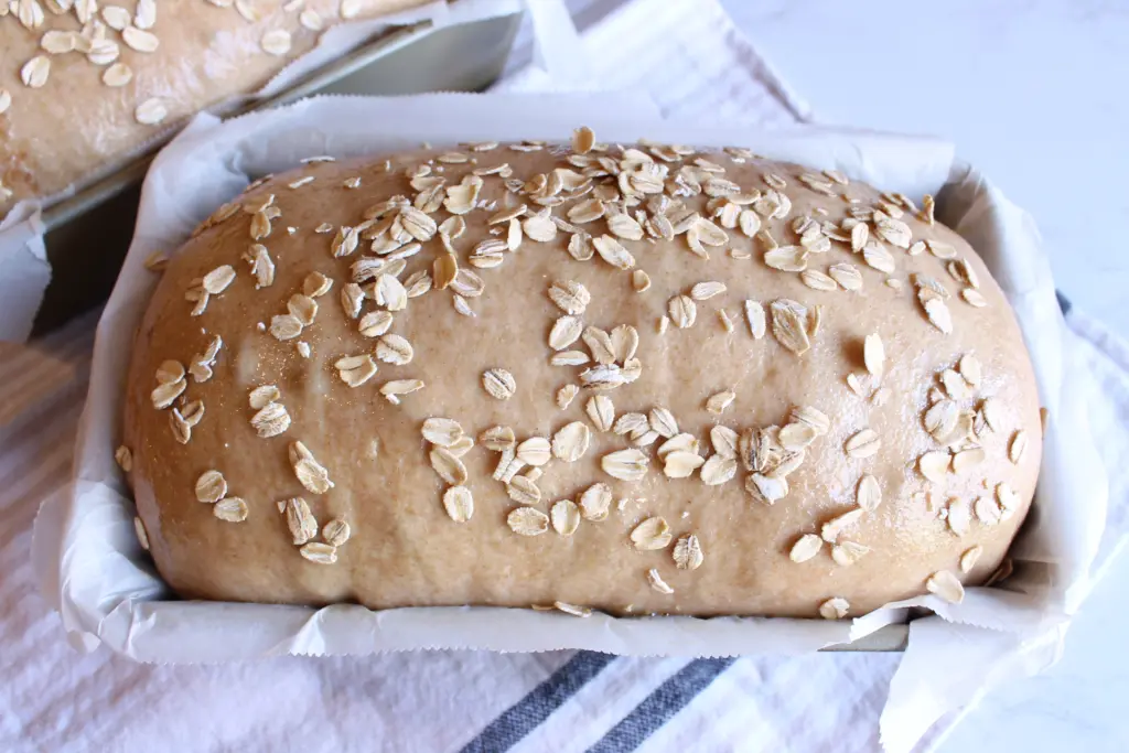 unbaked wheat loaf with oats on top