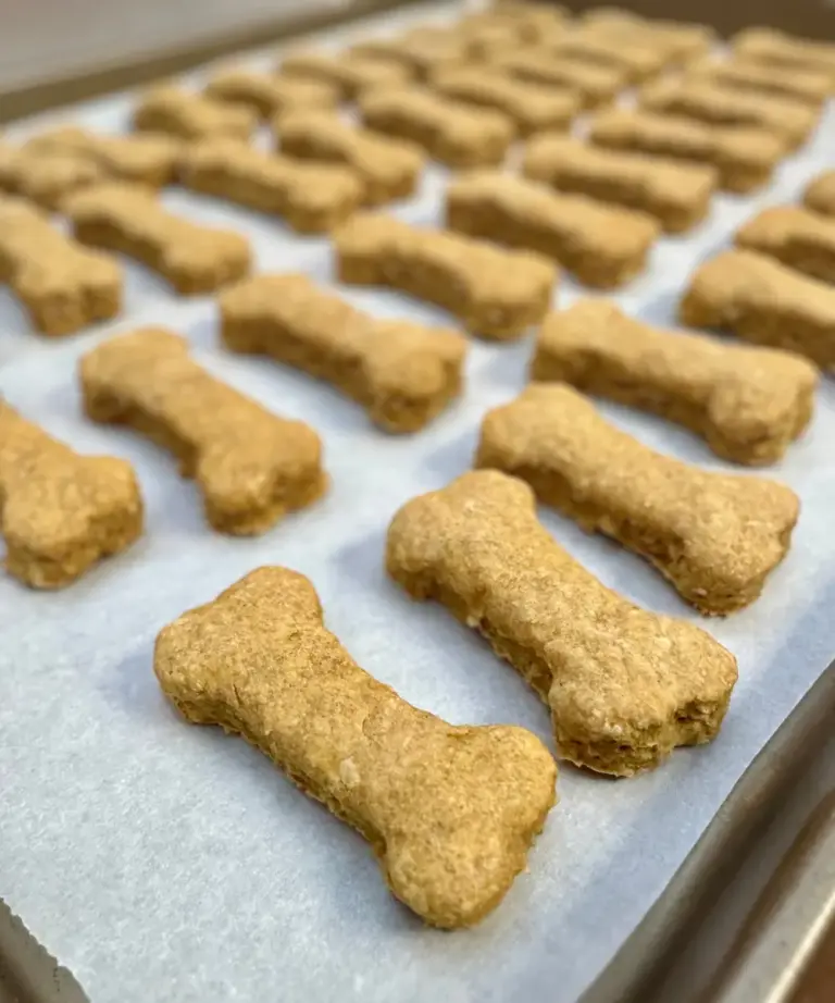 potato flake sourdough dog bone treats