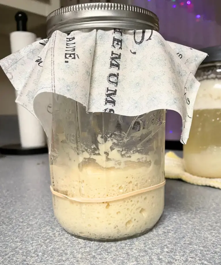 converting traditional sourdough starter to potato flake starter