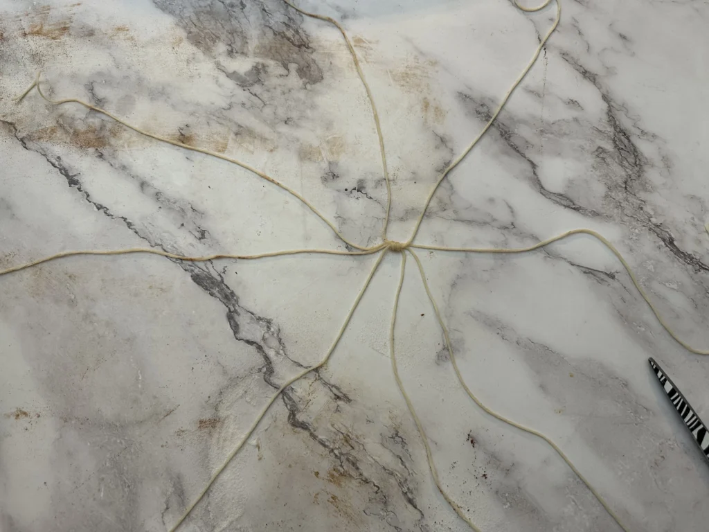 twine pattern for pumpkin loaf 