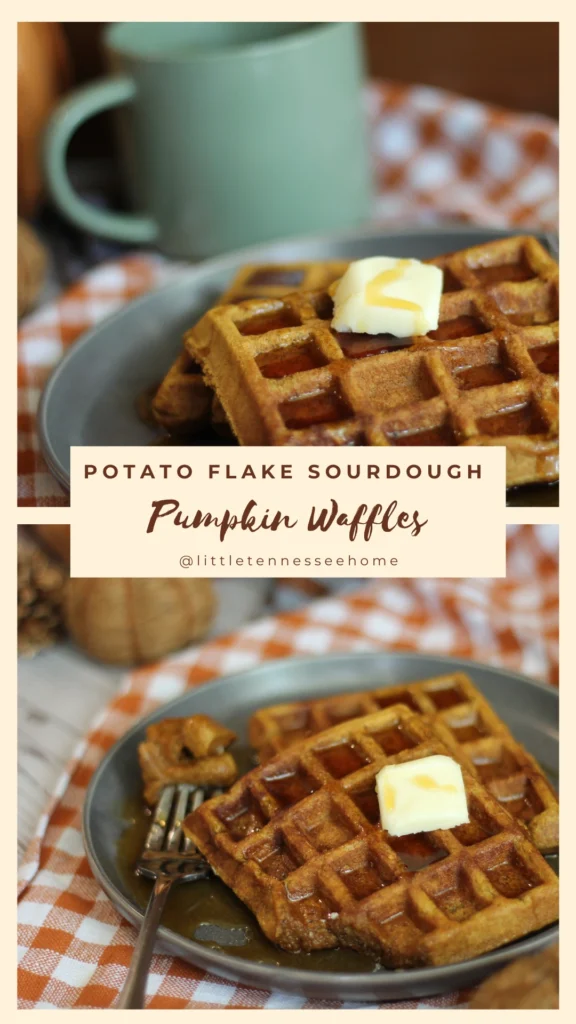 pumpkin waffle pin image