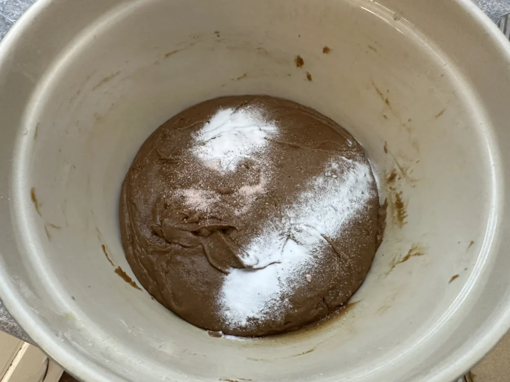 muffin batter after fermenting 