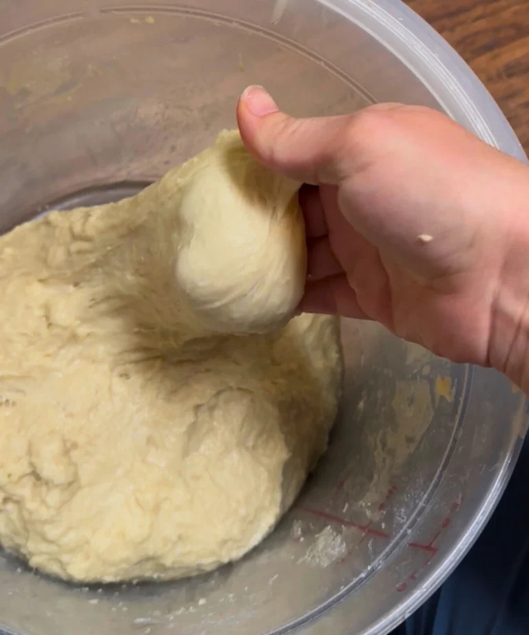 How to Do Stretch and Folds with Potato Flake Sourdough