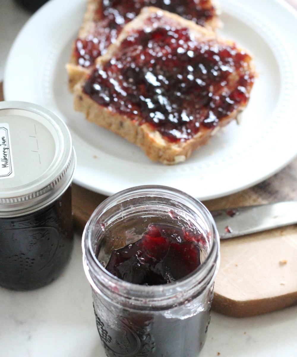 Homemade Mulberry Jelly